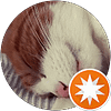 Mauw Zacht en L. profile picture